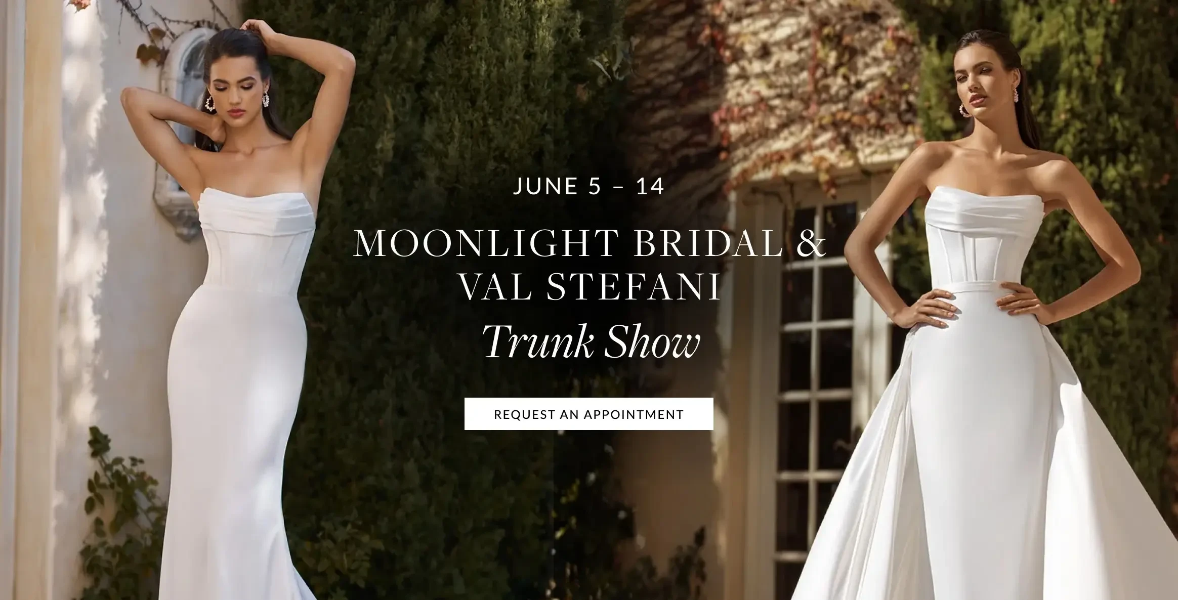 Moonlight & Val Stefani Trunk Show Desktop Banner
