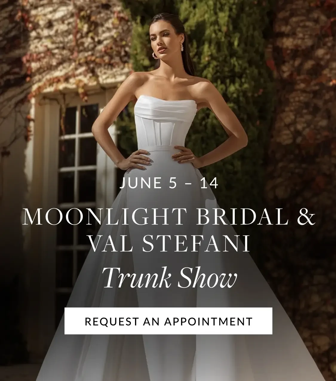 Moonlight & Val Stefani Trunk Show Mobile Banner